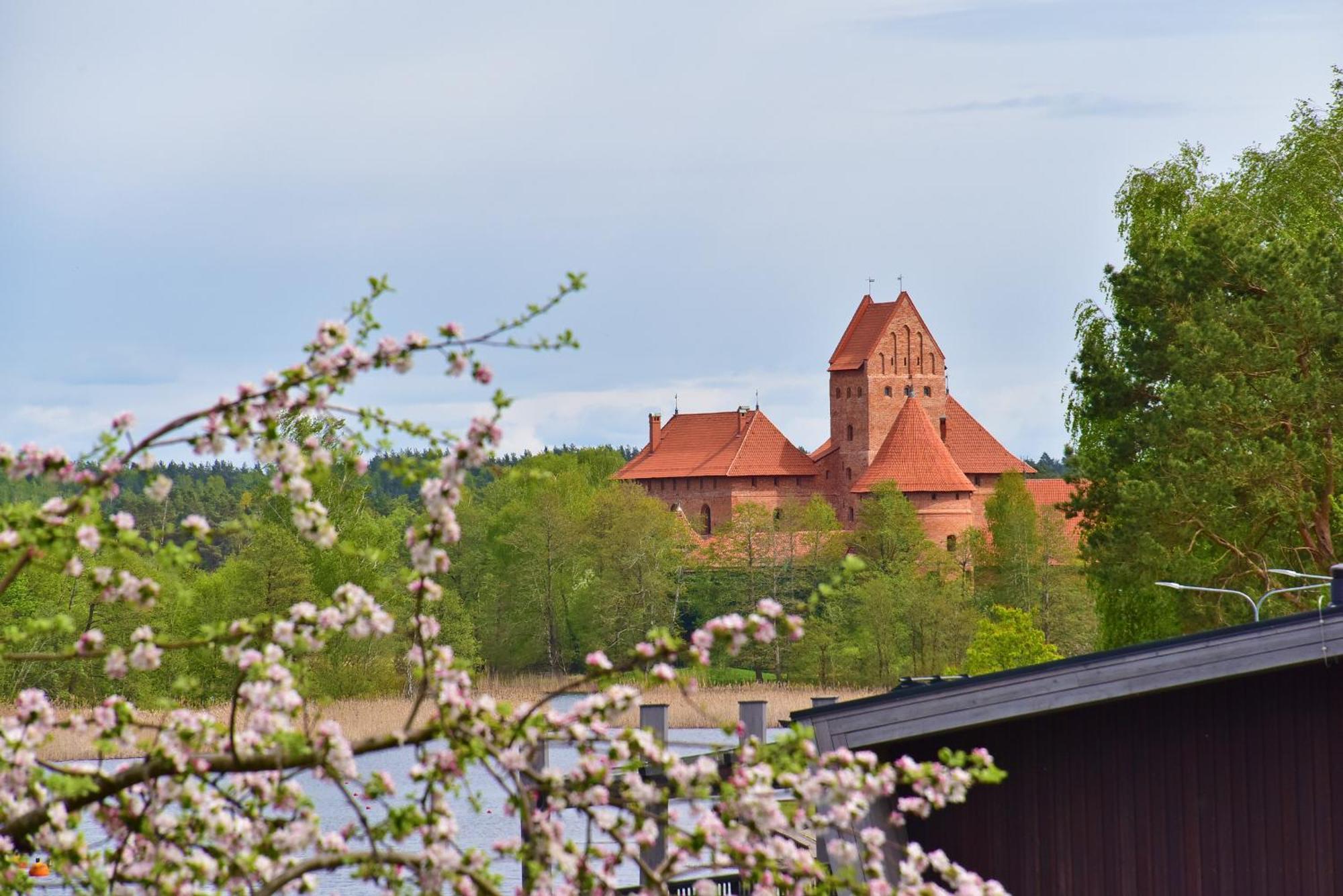 Augutes Zurlienes Apartamentai Trakai Exterior foto